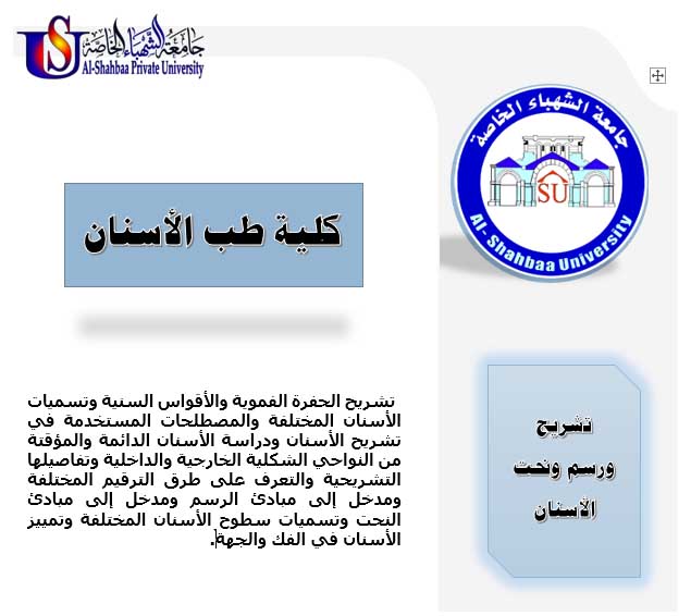 تشريح ورسم ونحت الاسنان